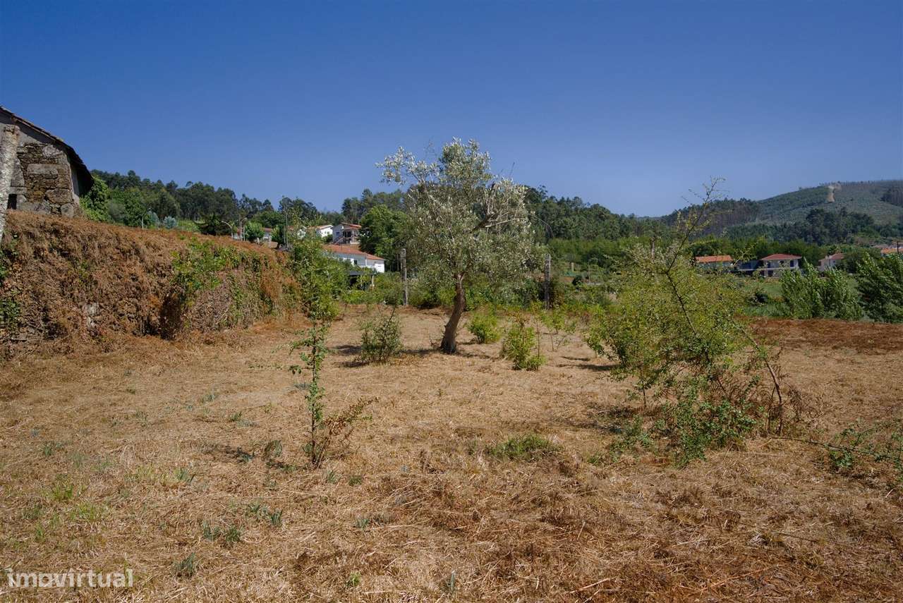 Terreno  Venda em Real,Castelo de Paiva-9