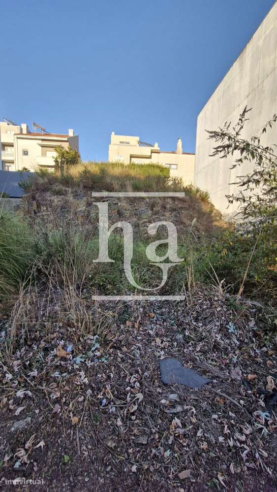 Terreno Valongo- Quinta da Lousa - Grande imagem: 3/6