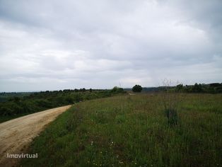 Terreno 57ha Santarém - Grande imagem: 2/11