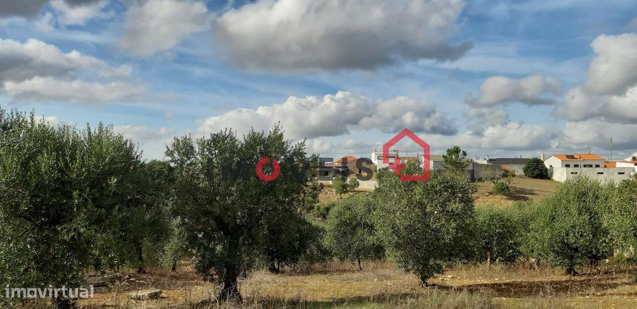 Terreno para construção entre Fátima e Leiria - Grande imagem: 2/2