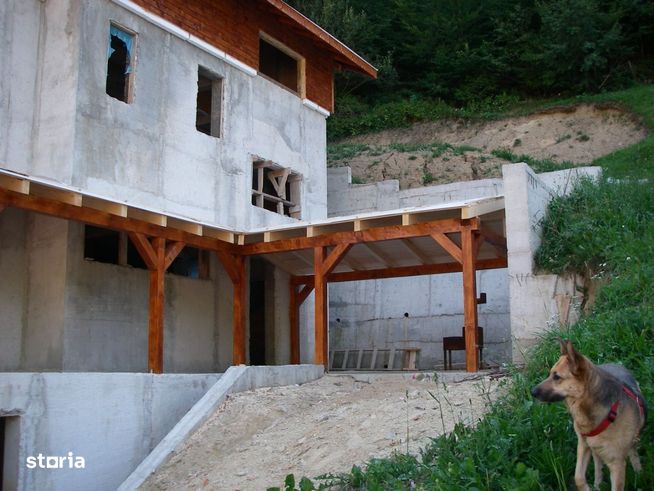 Vila Family/ Pensiune Dambovicioara Arges-8