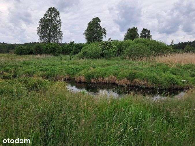 Działka, 10 400 m², Dąg-2