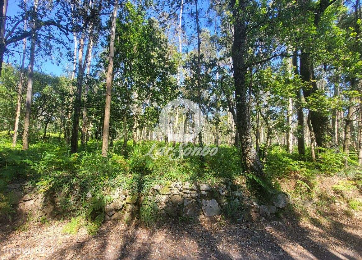 Terreno industrial com 6.100m2 em Gião, Vila do Conde - Grande imagem: 2/6