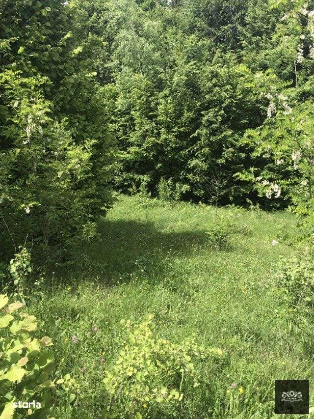 Vand teren in Albestii de Muscel faneata-pasune, partial impadurit - Imagine principală: 5/10