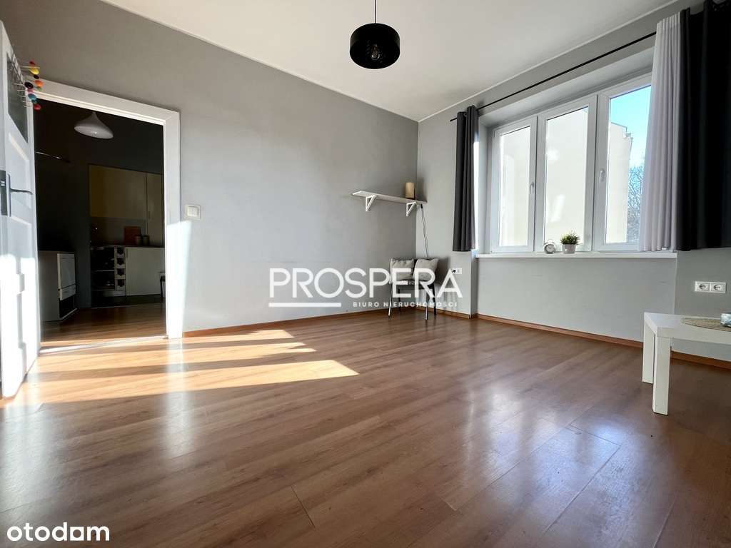 Idealne pod inwestycję|2 pokoje|Jedności Narodowej-3