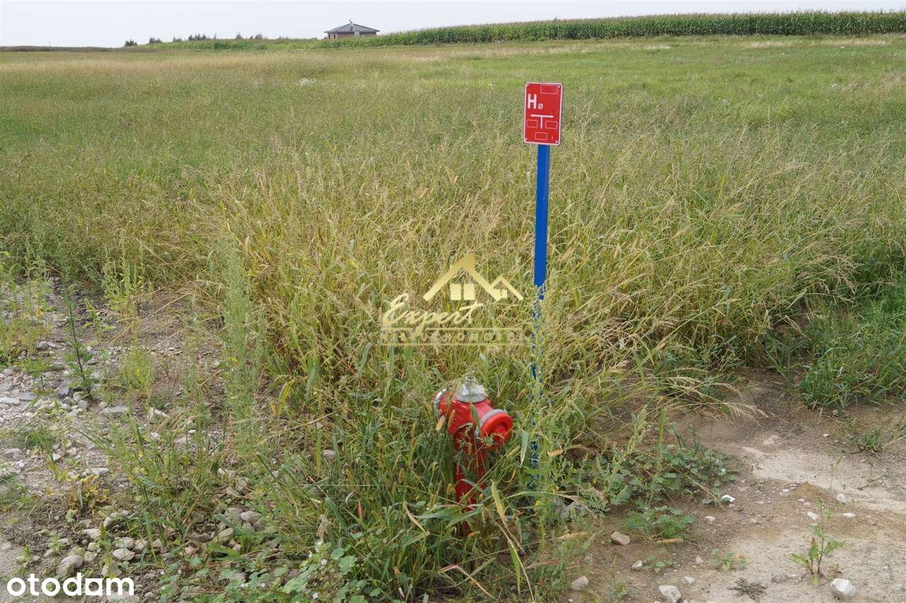 Sprzedam działki budowlane w okolicy Iławy-6