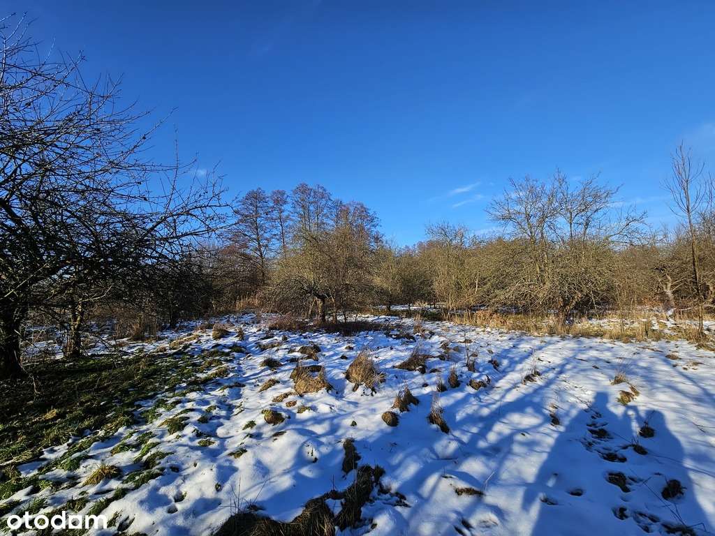 4 działki w łącznej cenie 390 000 zł. bez prowizji - Pełny obrazek: 4/7