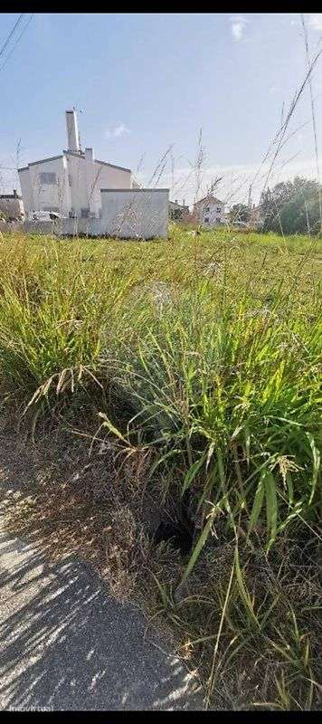 Terreno  para venda - Grande imagem: 2/4