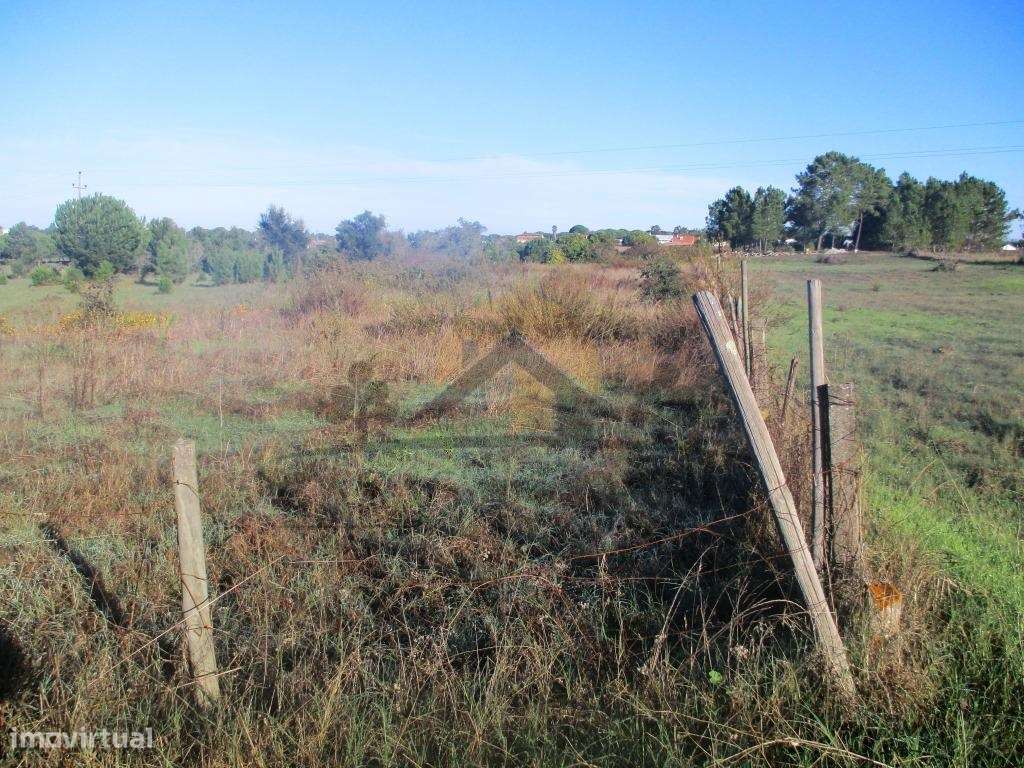 Bombel - Vendas Novas - Grande imagem: 3/10