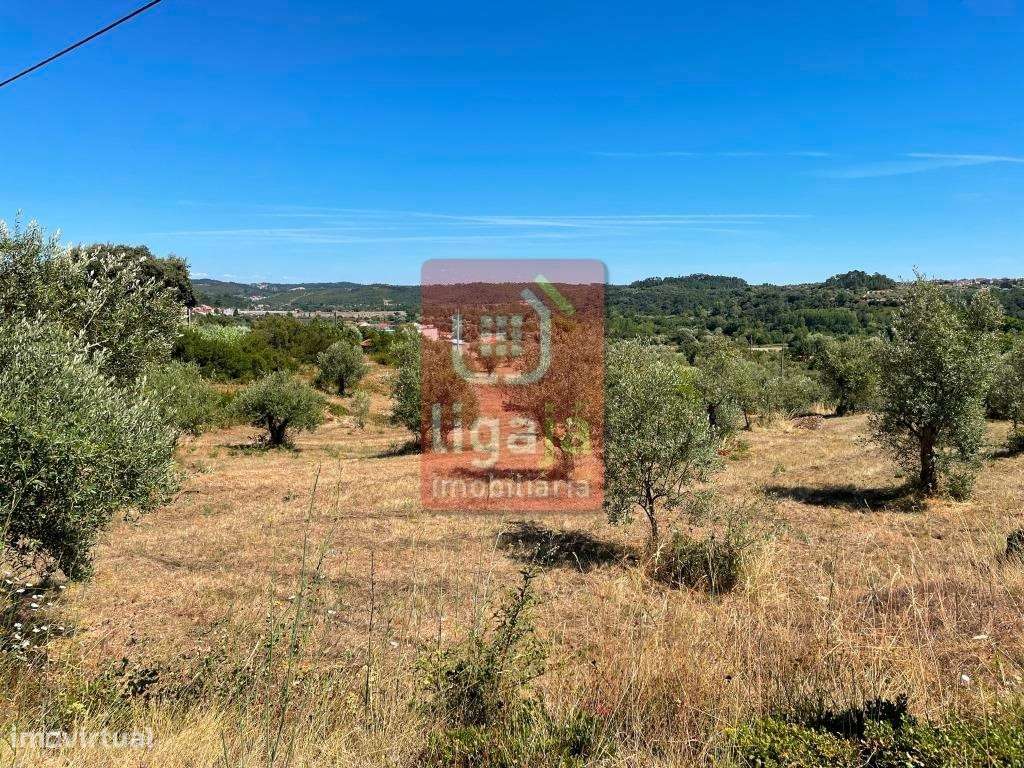 Lotes p/Construção - Seiça! - Grande imagem: 4/5