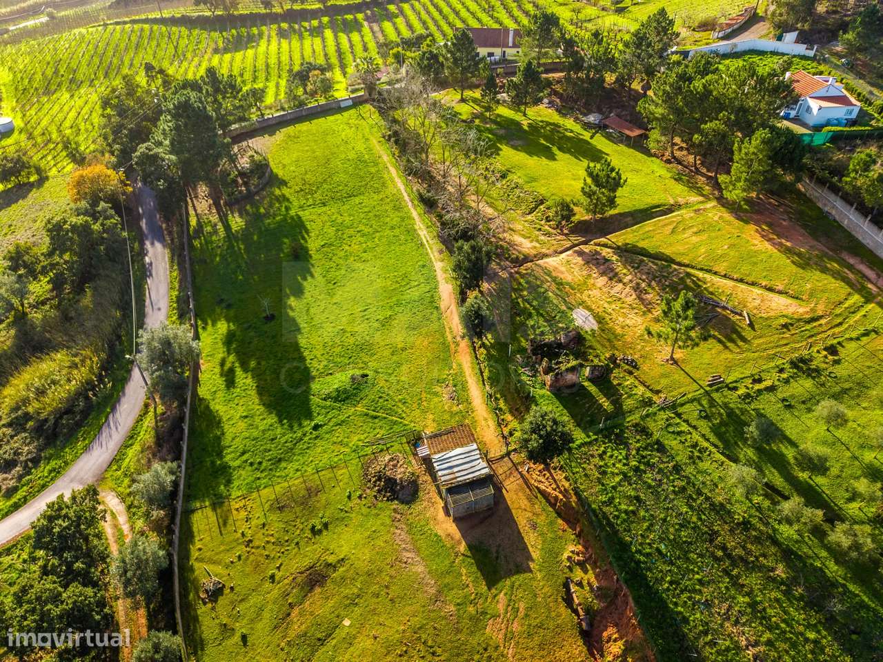 Moradia em ruínas num terreno de 10.699m2-9