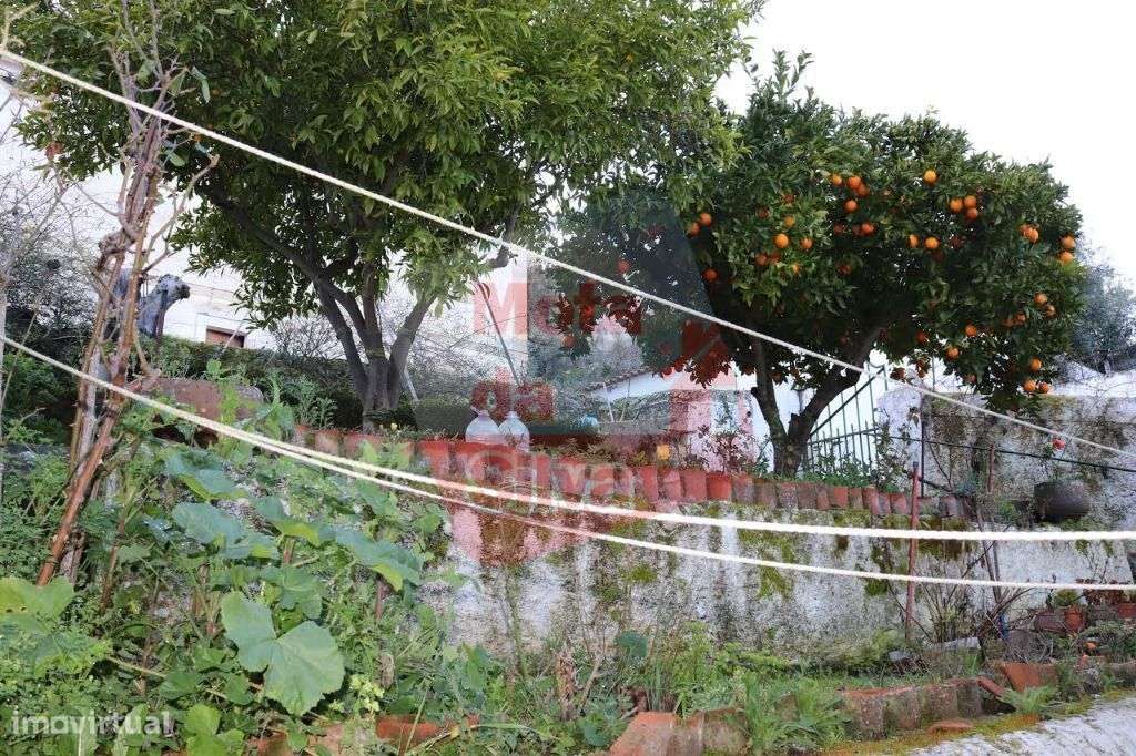 Moradia independente - Grande imagem: 4/19