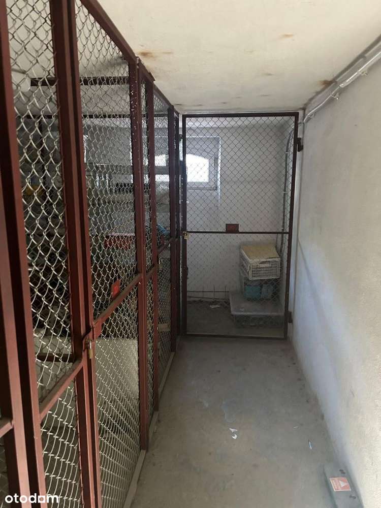 Przyziemie, piwnice ul. Rolna magazyn, przechowywanie-4