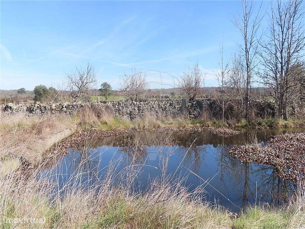 Quinta  para venda - Grande imagem: 5/32