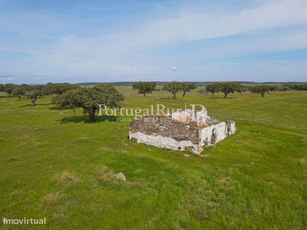 Herdade com 53ha perto do Alandroal - Grande imagem: 2/24