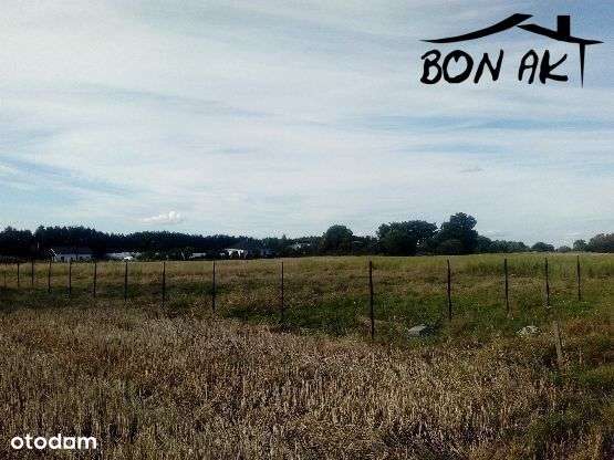 Duża działka pod zabudowę jednorodzinną - Pełny obrazek: 4/7