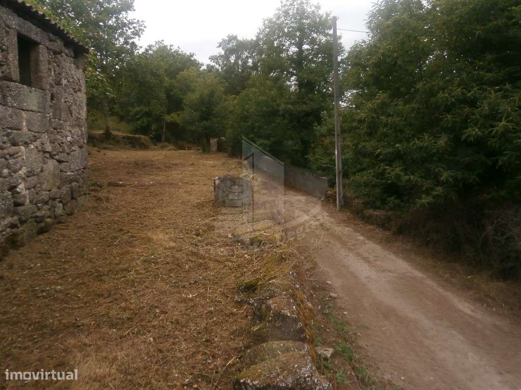 Quintinha com 4.647 m² e Duas Casas para Restaurar em Friande - Grande imagem: 4/20
