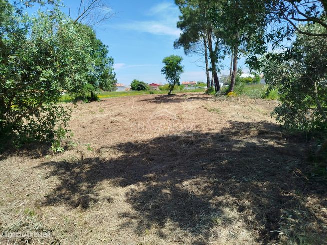 Terreno Urbano à Venda em Ouca – 47 000€-2
