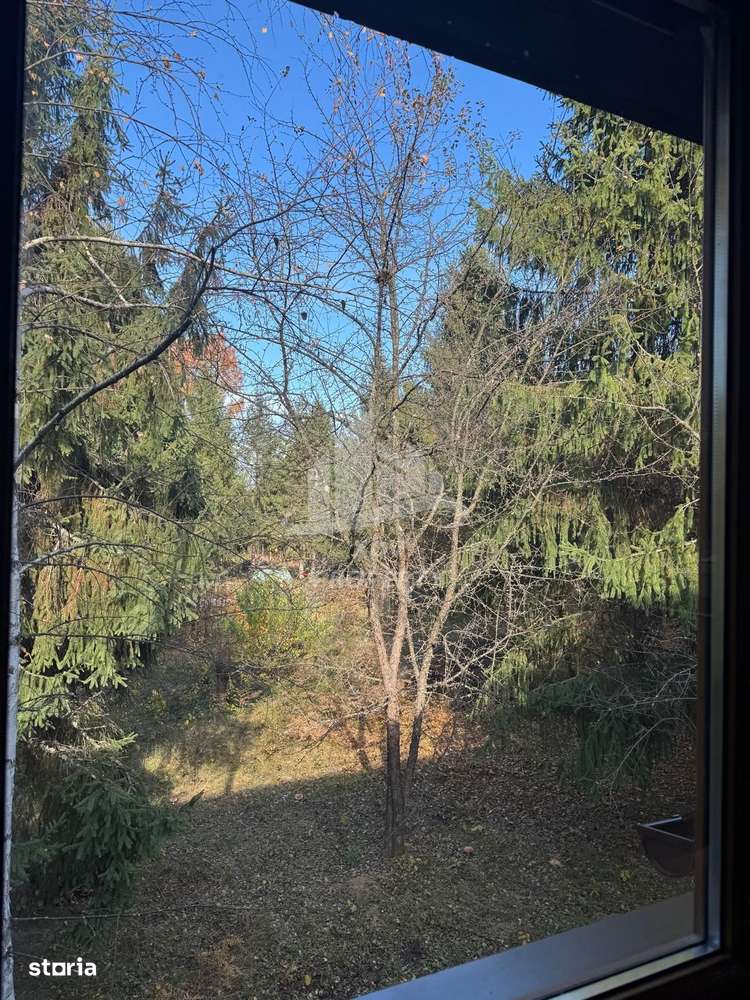 Pensiune/ Vila Valea Avrigului-17