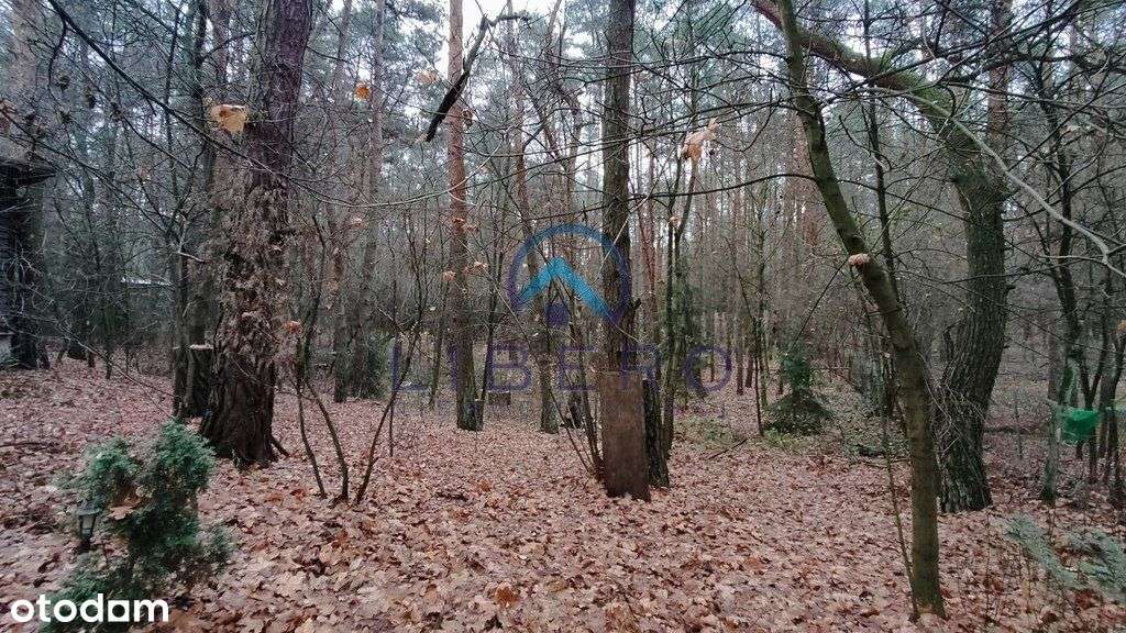 Dom w lesie dla 2 rodzin/ przyjaciół-7