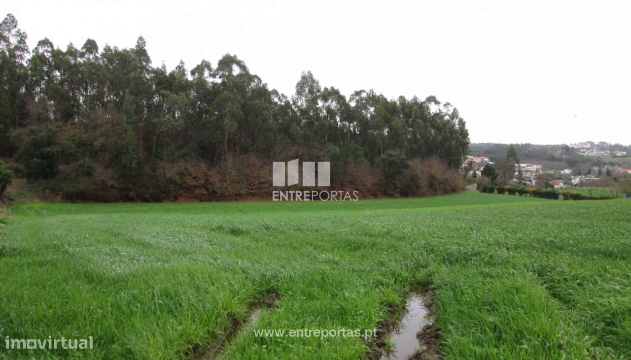 Venda de Terreno, Vilarinho das Cambas, Vila Nova de Famalicão - Grande imagem: 4/12