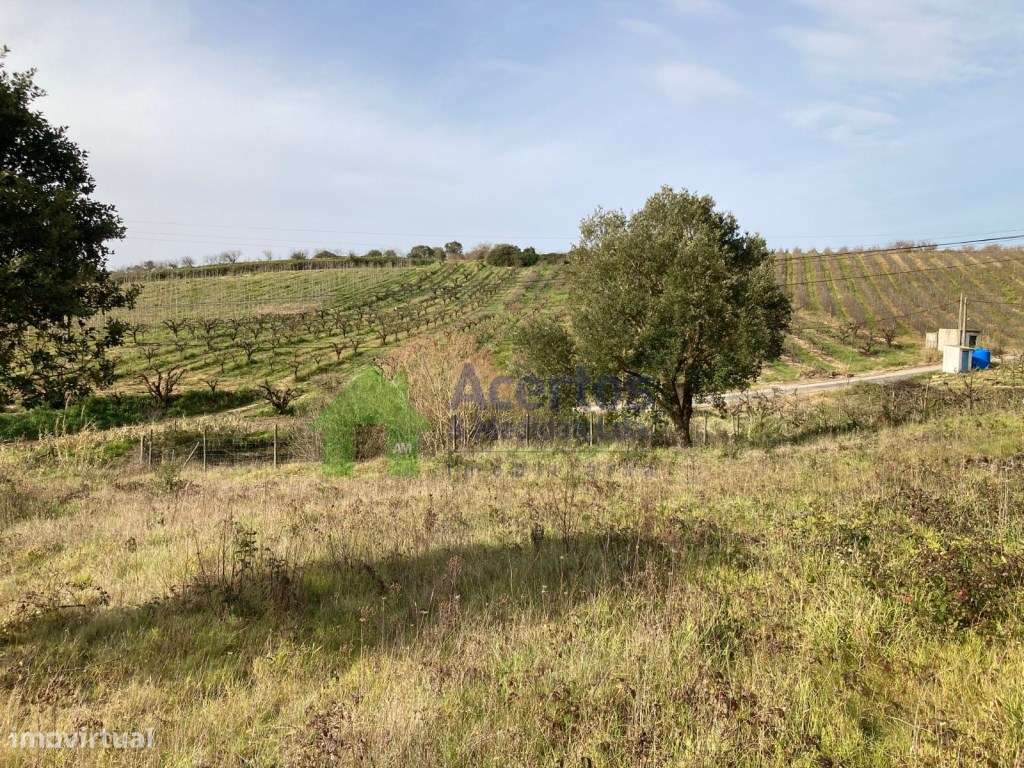 TERRENO DELGADA - BOMBARRAL - Grande imagem: 5/9