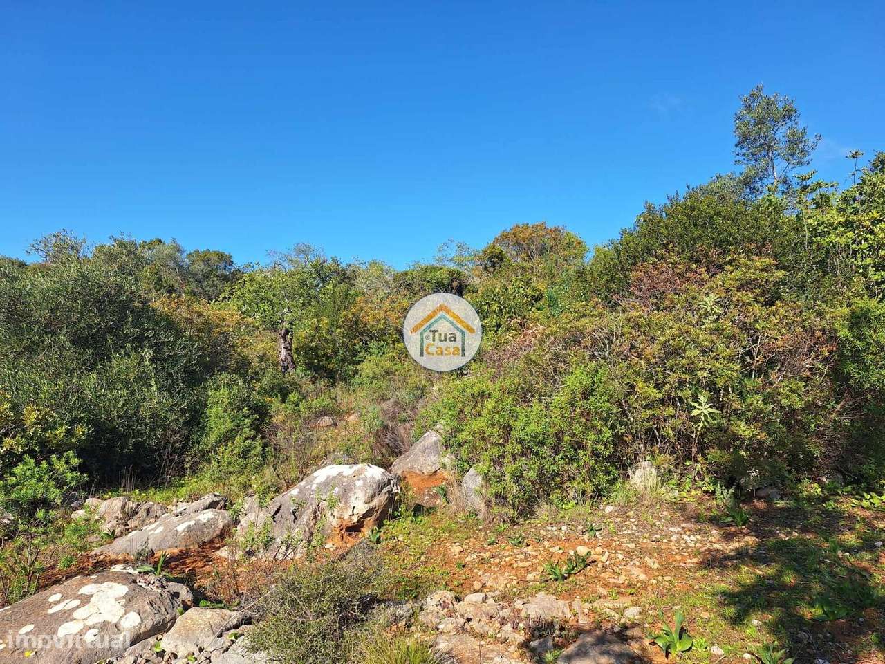 Terreno rústico - Grande imagem: 5/15