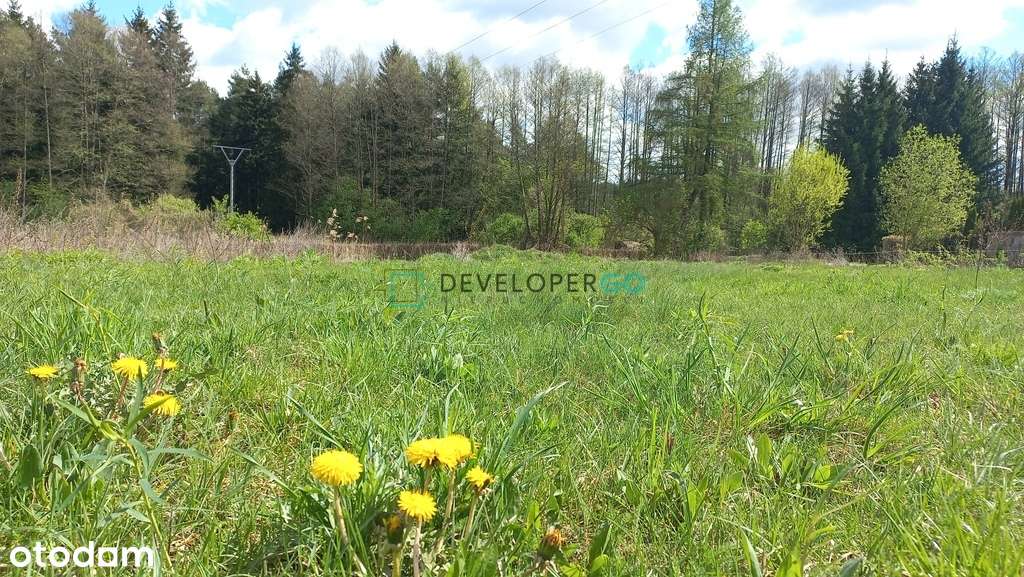 Unikalna działka ze strumykiem w Ogrodniczkach-10