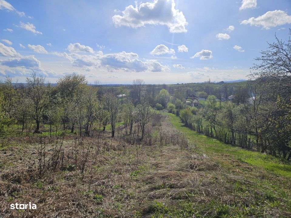 Teren 4606 mp - Sat Balta - Runcu - la aproximativ 20 km de Targu Jiu - Imagine principală: 5/9