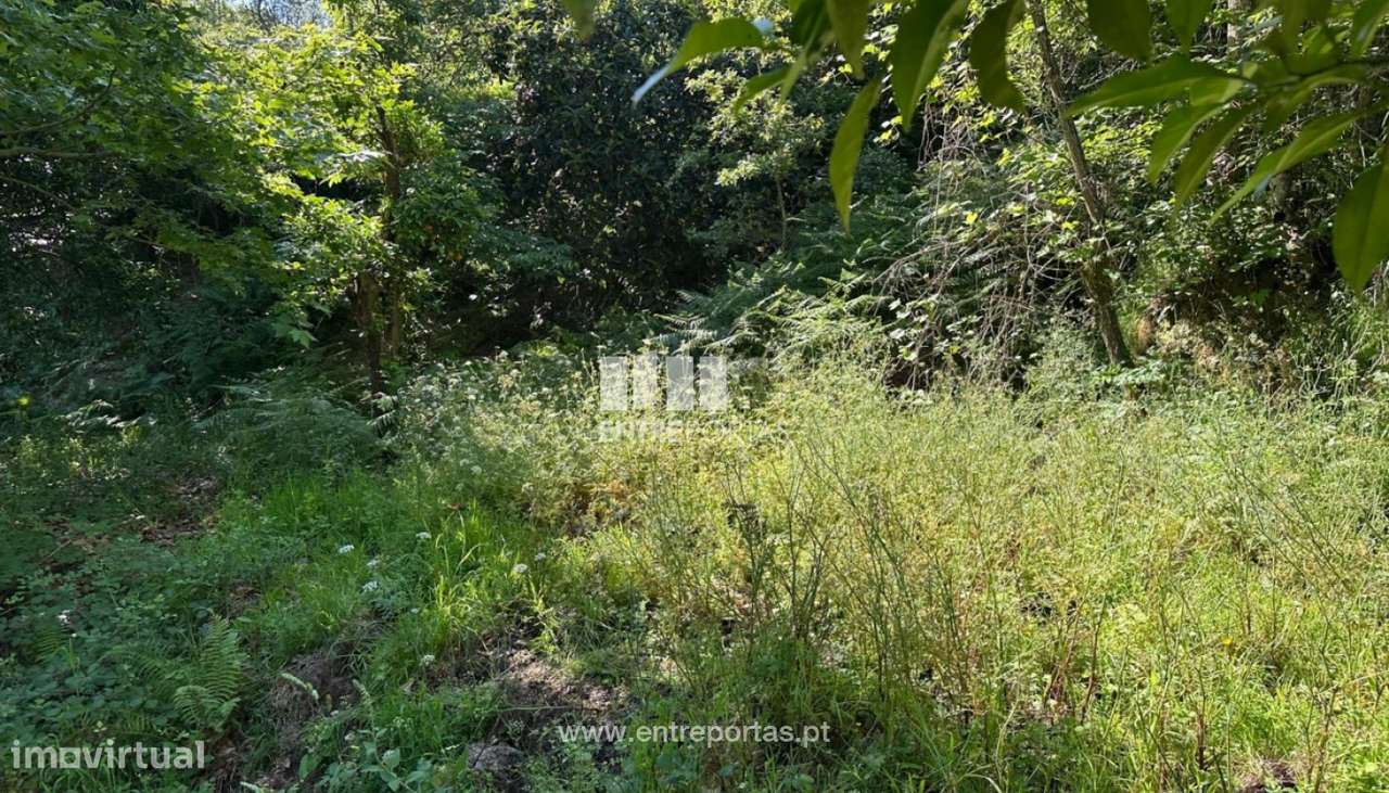 Venda Terreno, São Cristóvão de Nogueira, Cinfães - Grande imagem: 4/30