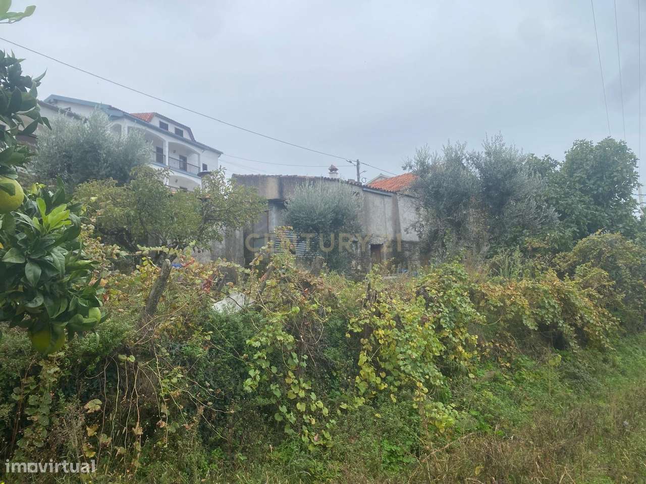 Terreno em Cortes do Meio - Covilhã - Grande imagem: 5/9