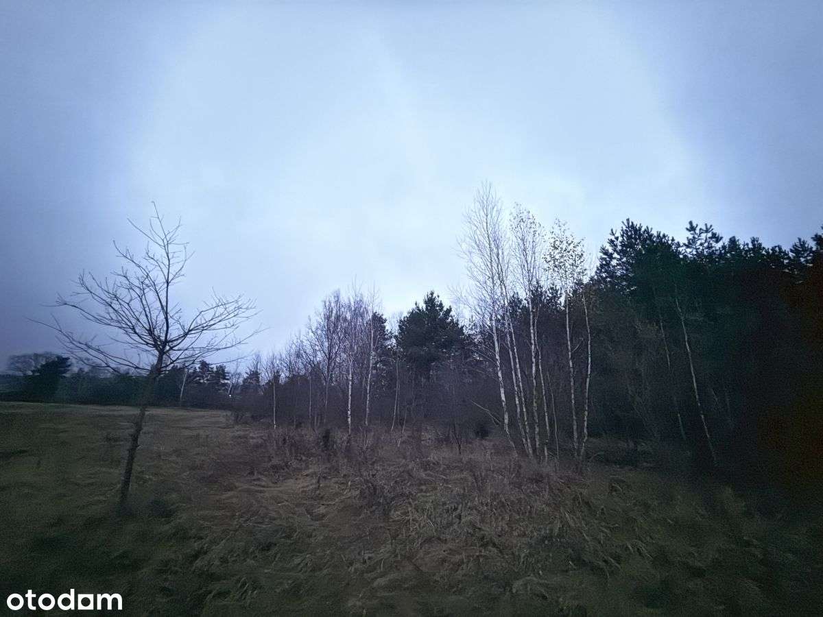 Okazja! Duża działka rolna w Borkowie 9802m2 - Pełny obrazek: 2/11