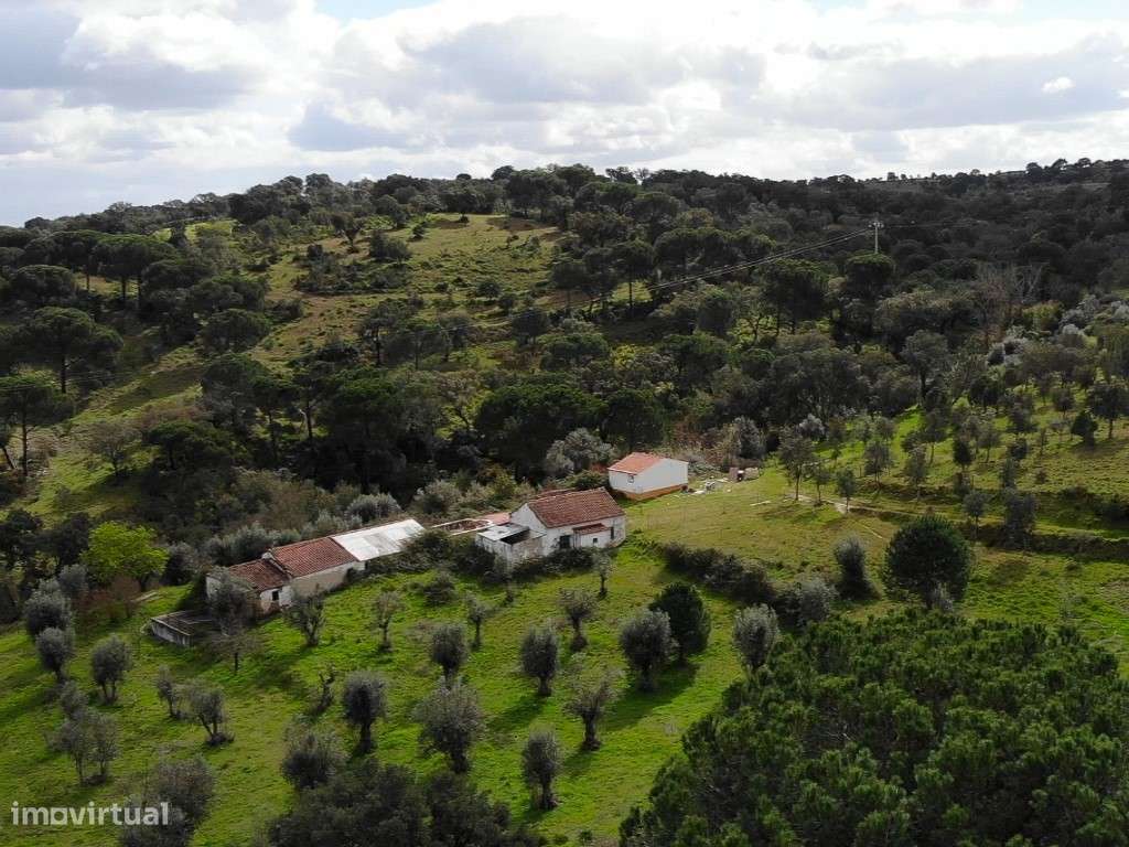 QUINTA COM 5HA DE TERRENO COM 500M2 URBANO - GALVEIAS - PONTE DE SOR-4