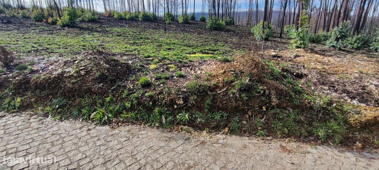 Terreno  Venda em Melres e Medas,Gondomar-6