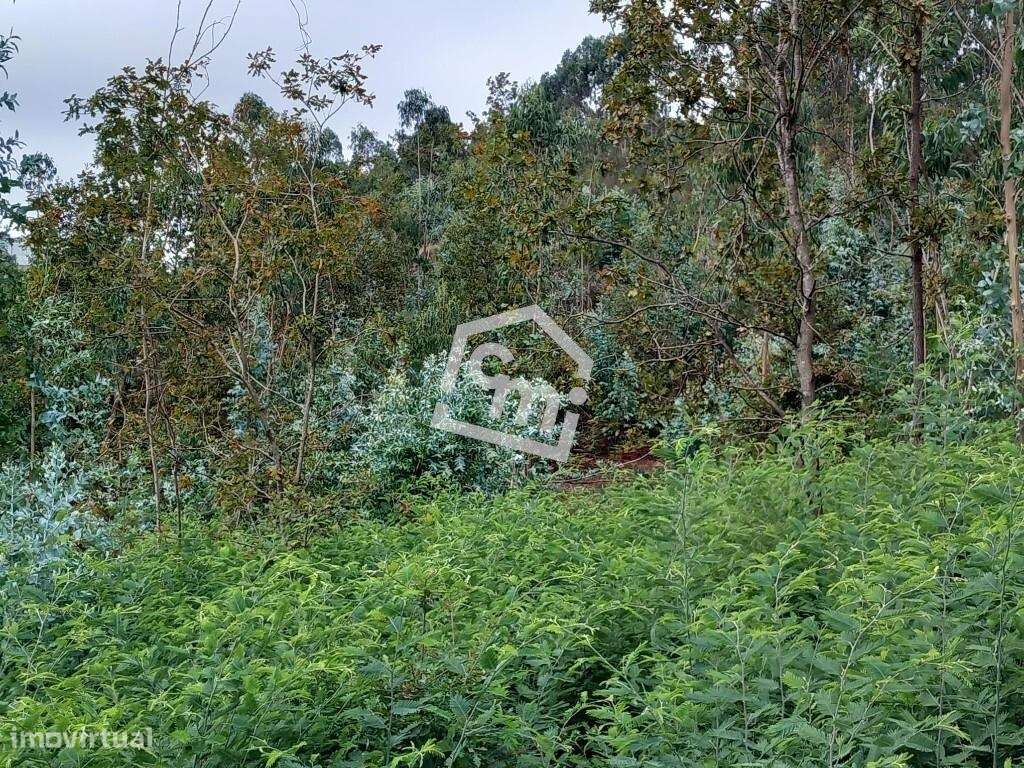 Terreno com Potencial Construtivo em Vandoma – Paredes-7