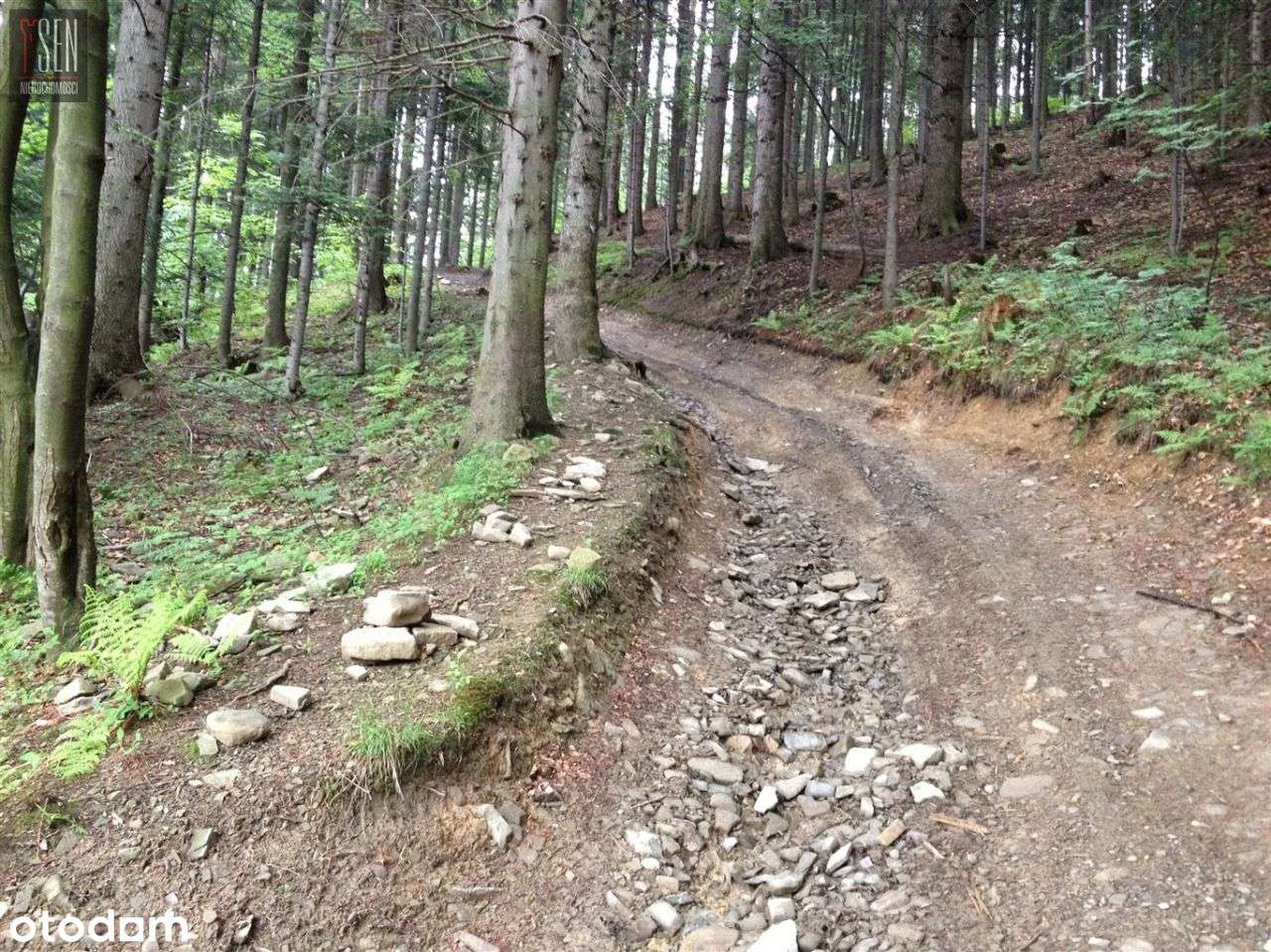 Działka Widokowa W Sąsiedstwie Przejścia Na Wyciąg-2
