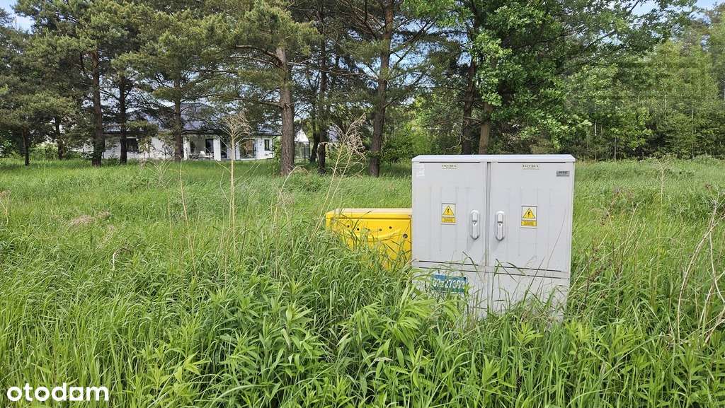 Działka blisko lasu - Pełny obrazek: 4/5