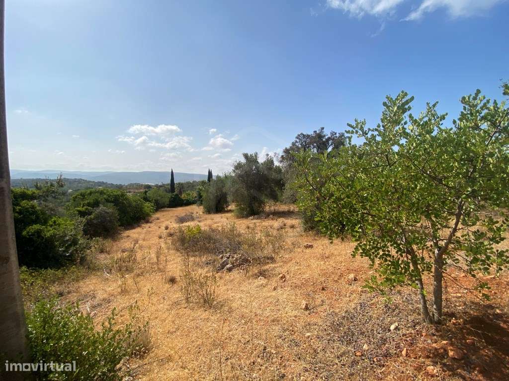 Lote de Terreno Rústico no Serro dos Passarinhos, Loulé, Algarve - Grande imagem: 3/19