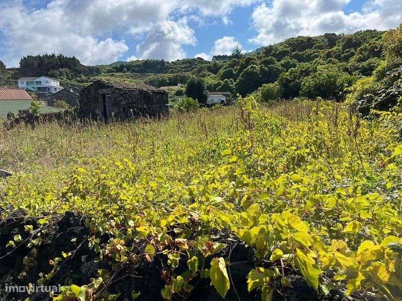 Terreno   Calhau Piedade - Grande imagem: 4/4