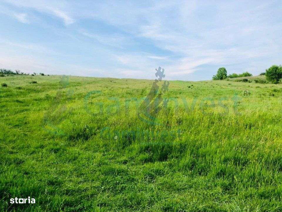 Gaminvest-Teren mixt de vanzare in Hidiselu de Jos, Bihor V2896 - Imagine principală: 2/3