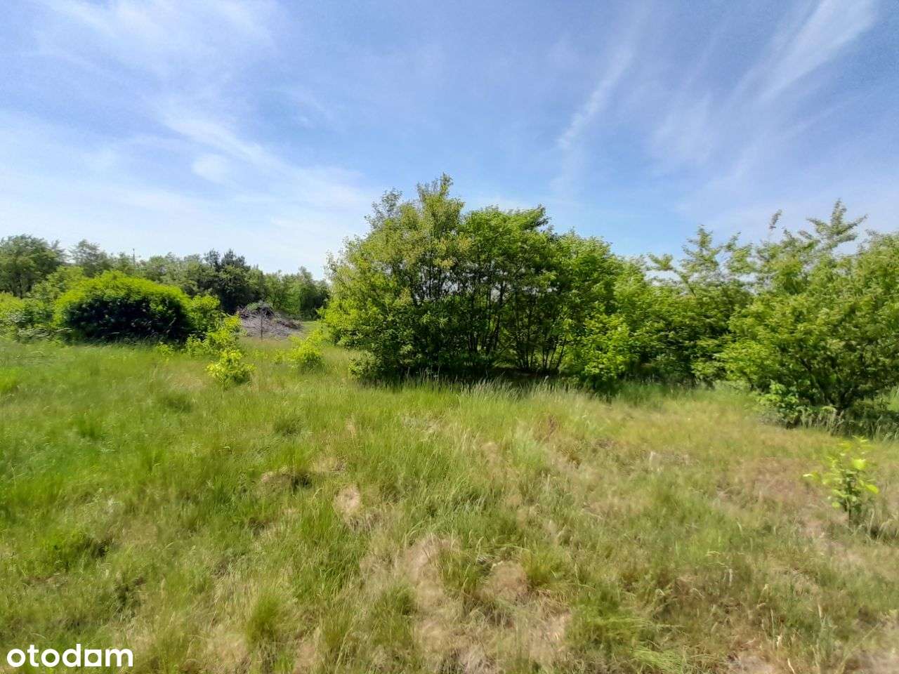 Sprzedam dużą działkę w Żarkach - 18,5a !!!-12