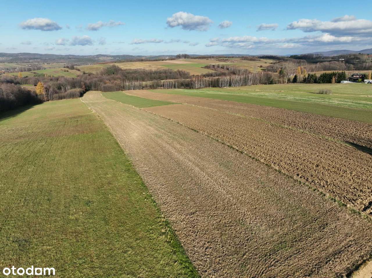 Ponad 1,5 ha działka w Ołpinach gm. Szerzyny-11