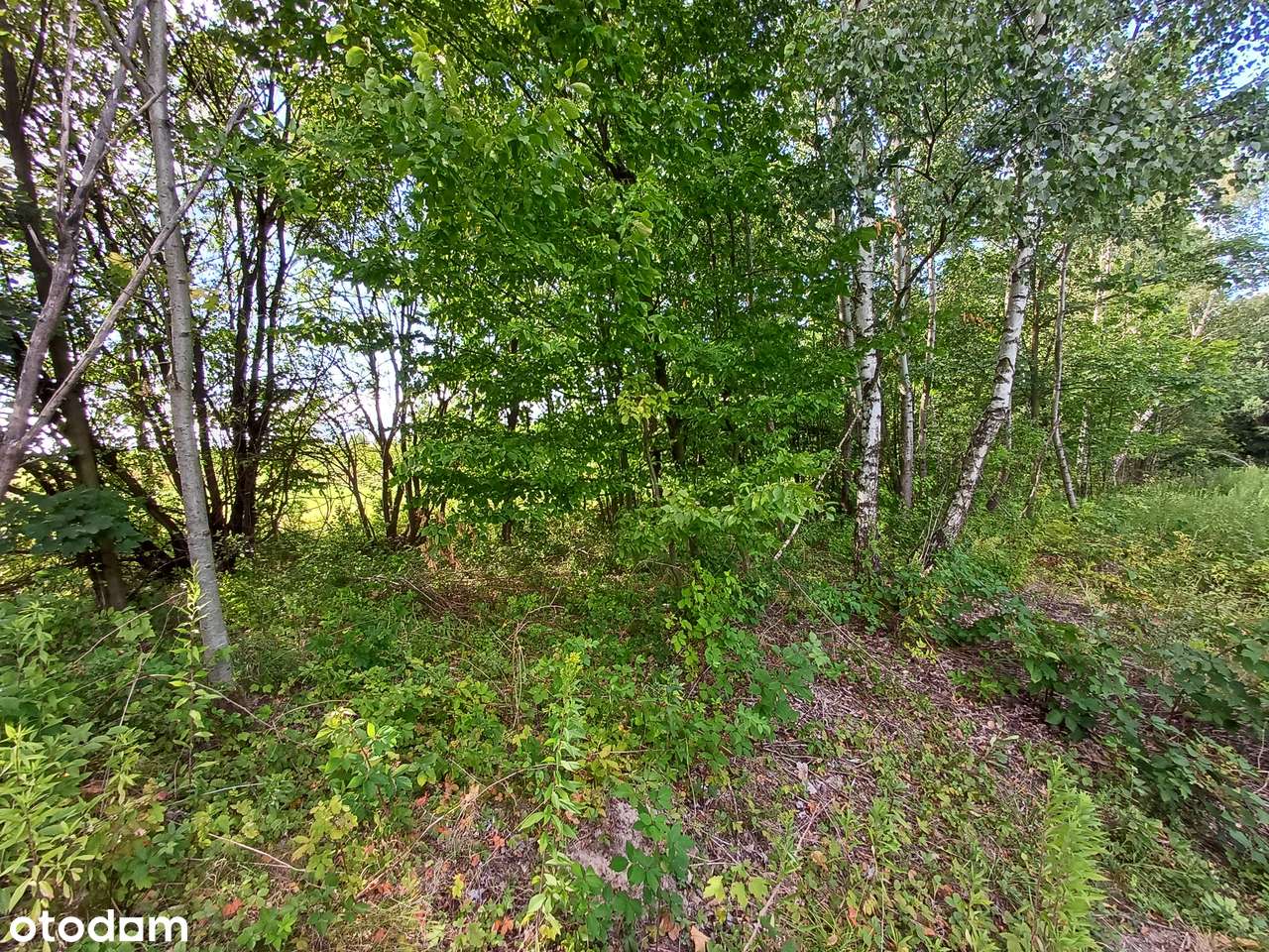 Działki na sprzedaż - Lanckorona ul. Krakowska-2