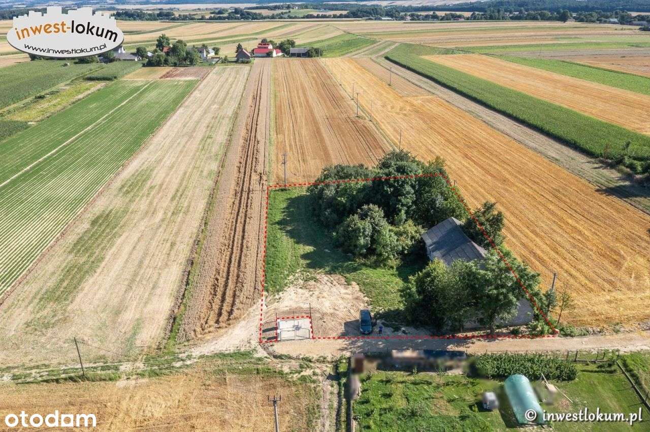 Działka, 2 645 m², Buk-2