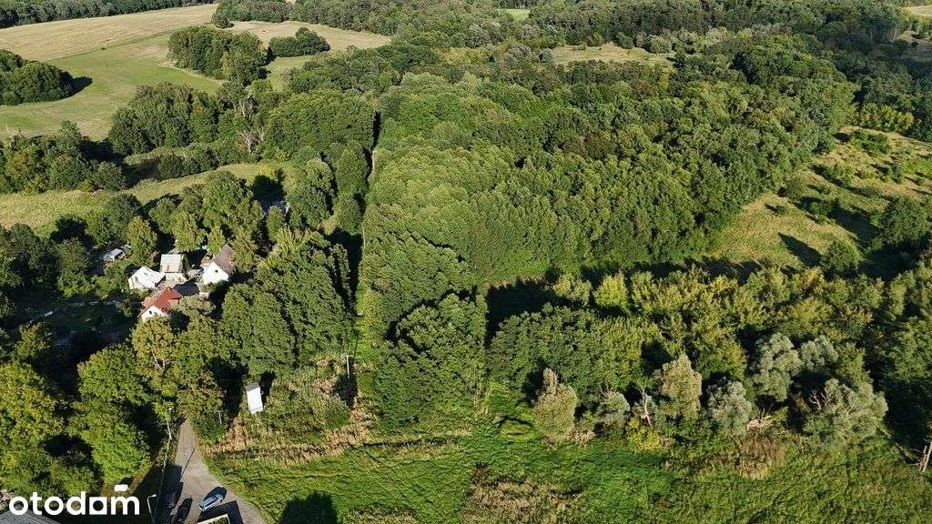 Lokal użytkowy, 1 240 m², Sierakowo-6