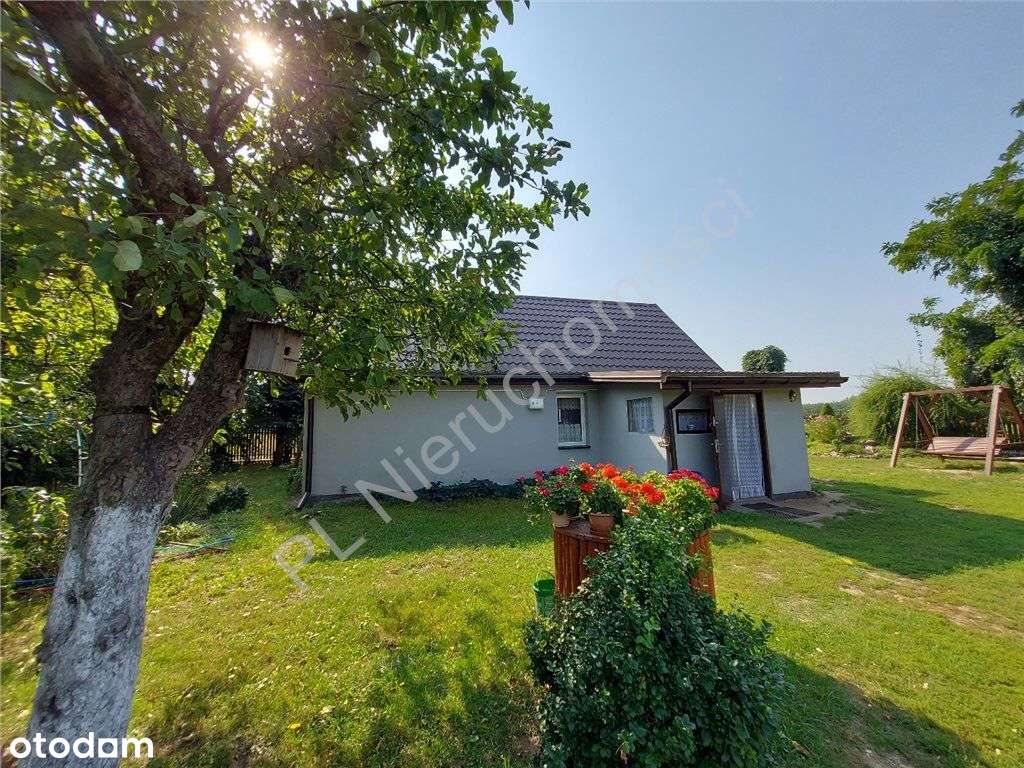 Siedlisko Jak Z Bajki, Miejskie Media, Komunikacja-2