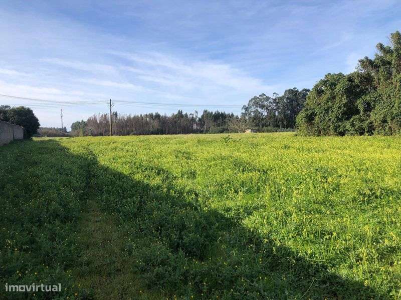 Terreno em Ilhavo - Grande imagem: 4/7