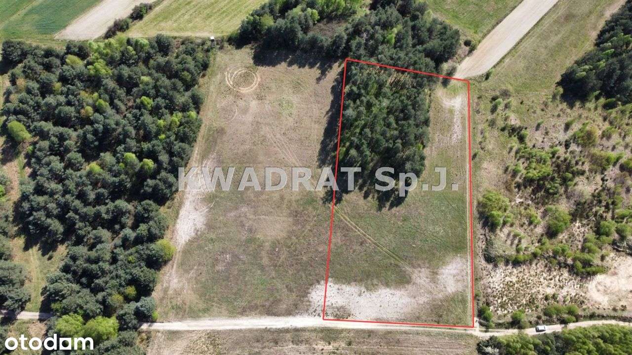 Piękna, duża działka z lasem – Kobyla Góra!!!-12