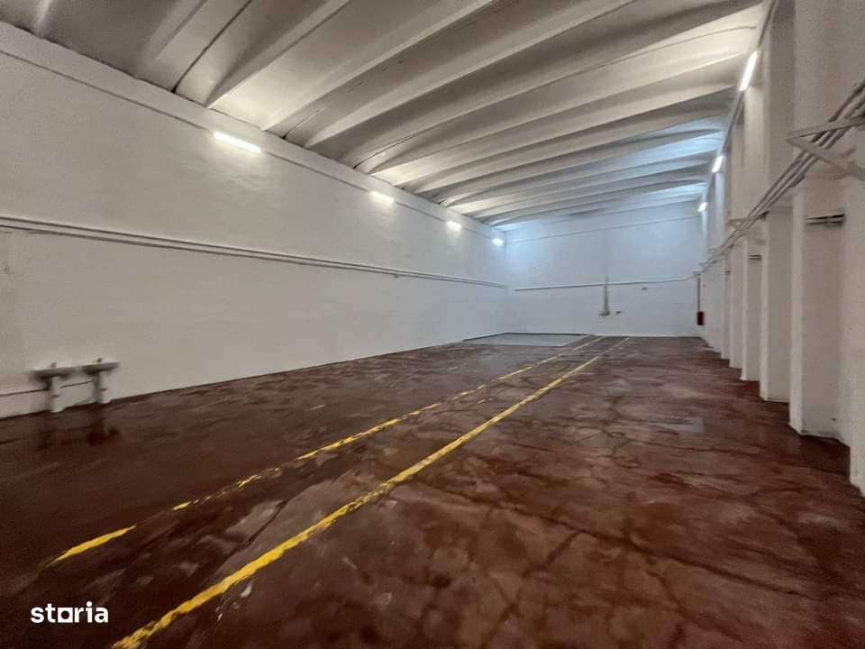 Hale de inchiriat - Imagine principală: 3/5