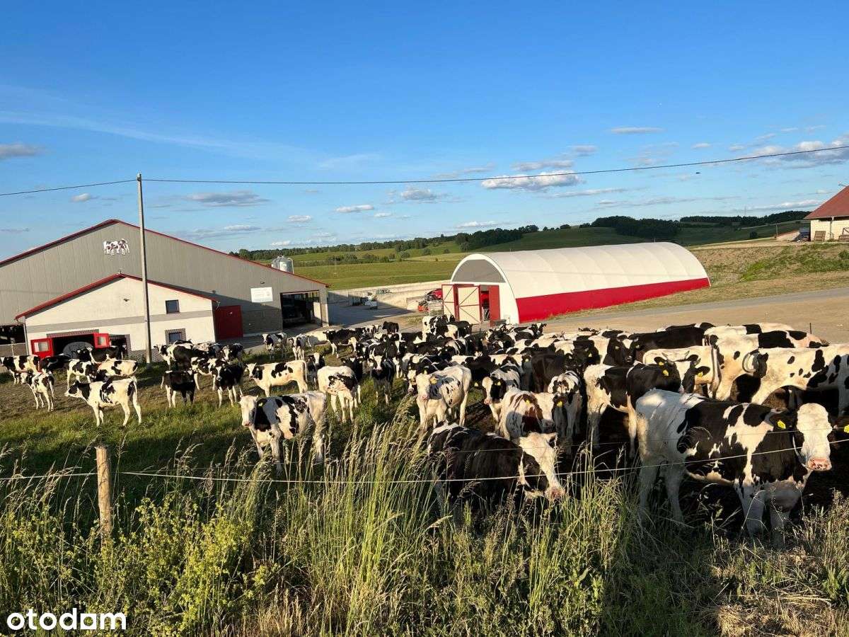 Gospodarstwo Rolne (Produkujące Mleko)-6